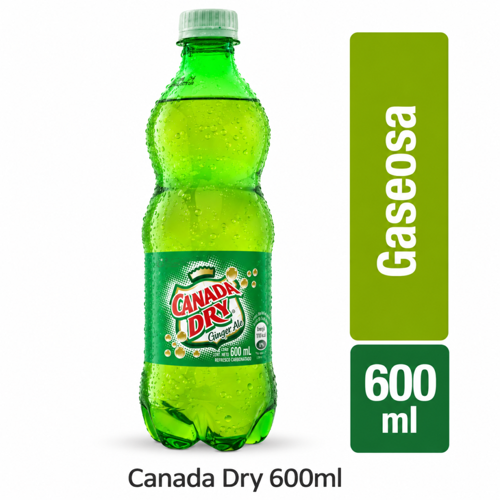 Ginger Ale 600ml